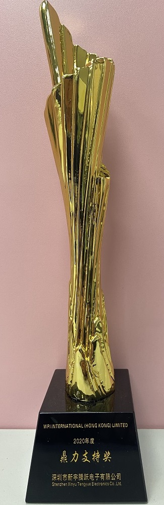 The 2020 Best Support Award