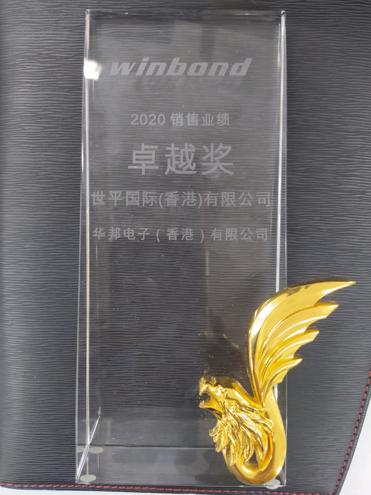 2020 Winbond Excellent Sales performance Award